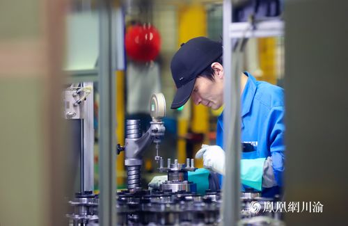 長江軸承 以技術(shù)硬實(shí)力撬動全球市場縫隙，打造國際化品牌新標(biāo)桿